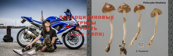 гашик Балабаново