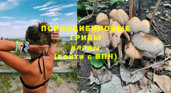 гашик Балабаново